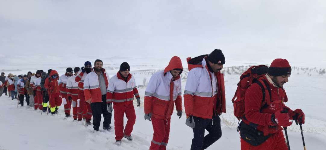 خدمات بشردوستانه 
